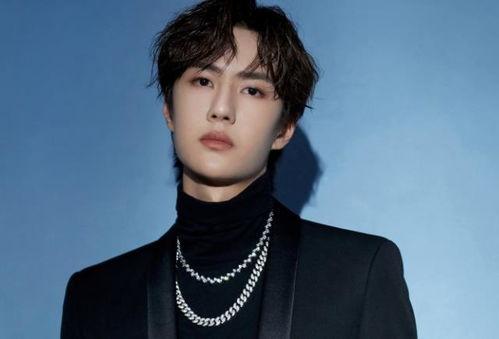 王一博苗侨伟最新爆料,揭秘娱乐圈幕后真相！  第1张