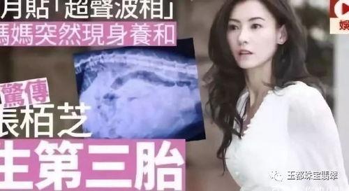 娱乐圈吃瓜张柏芝,揭秘明星背后的真实生活 第2张 娱乐圈吃瓜张柏芝,揭秘明星背后的真实生活 第2张