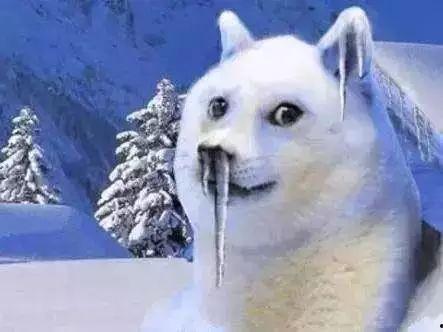 胖猫知情人爆料抖音视频,胖猫知情人爆料幕后真相  第3张