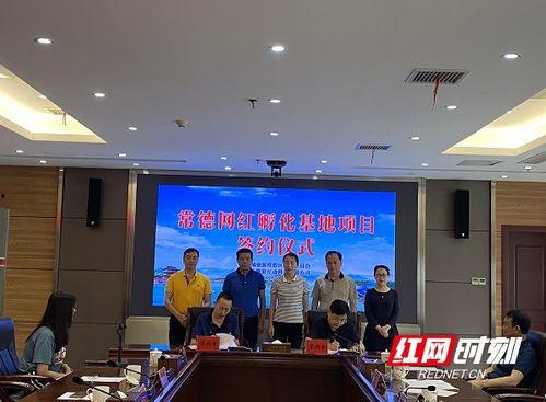 湖南常德网红新闻爆料,揭秘网红背后的惊人真相! 第3张 湖南常德网红新闻爆料,揭秘网红背后的惊人真相! 第3张